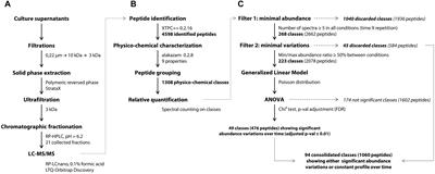 Insights Into the Complexity of Yeast Extract Peptides and Their Utilization by Streptococcus thermophilus